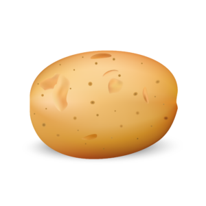 Die Kartoffel